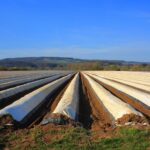 Eliminando microplásticos em terras agrícolas