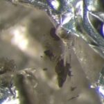 Cristal evasivo predito décadas atrás é encontrado preso em um diamante das profundezas da Terra
