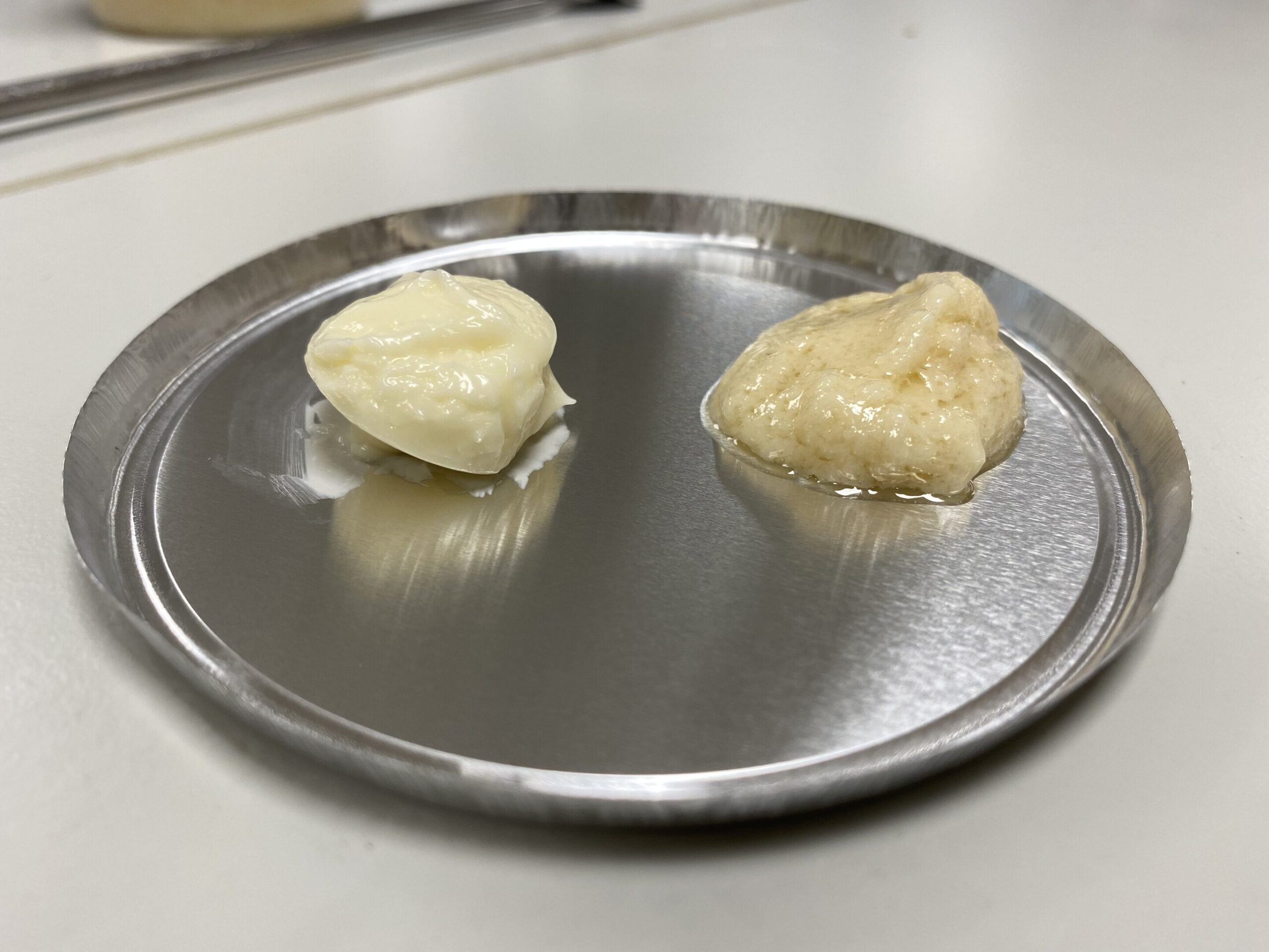 Emulsificante vegetal, rico em proteínas, que pode substituir laticínios e ovos em certos alimentos