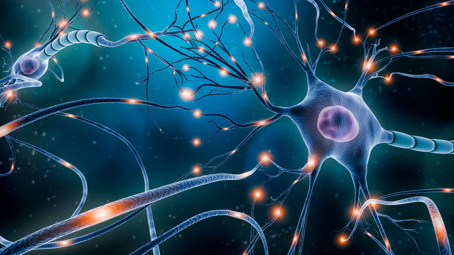 Cientistas explicam por que neurônios consomem tanto combustível mesmo quando em repouso