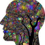 Psicodélicos podem revolucionar a maneira como tratamos a ansiedade e a depressão?