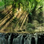 Como a arte pode nos salvar da extinção