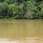 Engenheiro desenvolve ferramenta para prever níveis de oxigênio na água