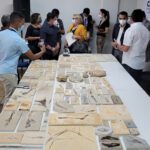 Instituições do norte mundial acumulam fósseis do Brasil