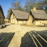 Colonos de Jamestown podem ter mantido e comido cães americanos indígenas