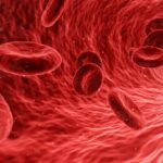 A exclusão de uma proteína pode reduzir doença cardiovascular