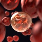 Novas evidências mostram que o câncer não é tão hereditário quanto se pensava