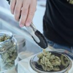 Como impostos sobre maconha podem financiar cuidados de saúde mental para milhões