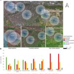 O papel da vegetação na redução do estresse térmico em áreas urbanas