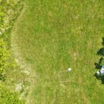 Satélites e drones podem ajudar a salvar polinizadores