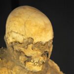 Primeiro genoma humano de Pompeia sequenciado