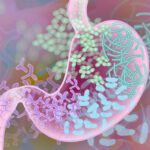 Cerveja lager, contendo álcool ou não, pode ajudar os micróbios intestinais dos homens
