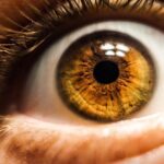 Estudo confirma benefício de suplementos para retardar a degeneração macular relacionada à idade