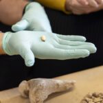 Arqueologia molecular: o que os genes antigos nos dizem sobre quem somos