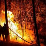 900 bombeiros combatem 'mega-incêndio' no sul da França