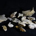 Cientistas descobrem vestígios de fogo que datam de pelo menos 800.000 anos