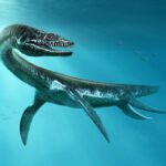Fósseis de plesiossauros encontrados no Saara sugerem que não eram apenas animais marinhos