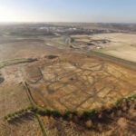 Mais de 8.000 ossos de rã encontrados em sítio arqueológico da Idade Do Ferro em Cambridgeshire