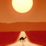 Calor extremo tornaria nosso planeta muito perigoso até 2100, alertam cientistas