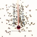 Por que o calor nos deixa com sono