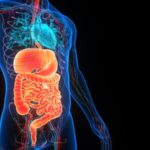 Novo estudo liga alimentos ultraprocessados ​​e câncer colorretal em homens