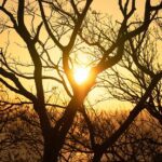 O risco de vários pontos de inflexão climáticos aumenta acima de 1,5 ° C de aquecimento global
