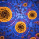 Cientistas reavaliam o papel das células 'zumbis' que a medicina antienvelhecimento procurou elimina...