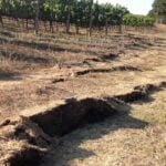 Ligeiras mudanças no campo magnético precederam terremotos na Califórnia