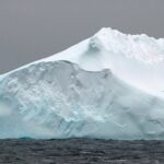 DNA antigo de 1 milhão de anos atrás descoberto na Antártica