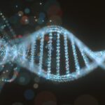 DNA viral antigo no genoma humano protege contra infecções