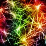 Sistema usa estimulação luminosa para modular ondas cerebrais
