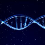 DNA antigo da Alemanha medieval conta a história de origem dos judeus Ashkenazi