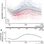 Estudo revela idade média na concepção para homens versus mulheres nos últimos 250.000 anos