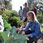 Estudo mostra que a jardinagem pode ajudar a reduzir o risco de câncer e melhorar a saúde mental