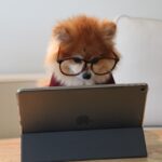 Perder o foco pode realmente aumentar o aprendizado, segundo estudo