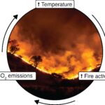 Cientistas alertam: Muitos ciclos de feedback perigosos tornam ação climática mais urgente