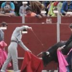 Escolas de touradas da Espanha - Uma cultura monstruosa que precisa acabar