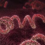 Níveis de sífilis atingem o máximo em 70 anos e epidemia de infecções sexualmente transmissíveis não...