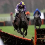 Malinello: Cavalo morre no primeiro dia do Festival de Cheltenham e ONGs de bem-estar animal reagem