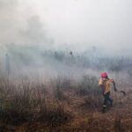 O aquecimento global provavelmente ultrapassará o perigoso limite de 1,5 C dentro de 5 anos, alerta ...
