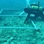 Estrada construída há 7.000 anos encontrada no fundo do mar Mediterrâneo