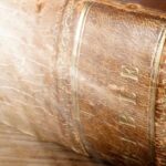 Luz ultravioleta revela capítulo oculto da Bíblia mais de 1.500 anos depois