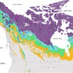 Escoamento do permafrost do Ártico impulsionado pela mudança climática