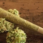 Uso de cannabis ligado a mudanças epigenéticas