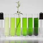 Pioneiros da química verde pretendem mudar o mundo