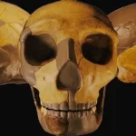 Crânio antigo encontrado na China é diferente de qualquer ser humano visto antes