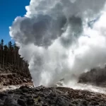 Gêiseres de Yellowstone em risco de extinção devido às mudanças climáticas, revelam esqueletos de ár...