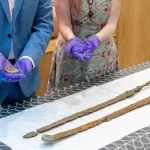 Duas raras espadas de cavalaria romana de 1.800 anos atrás descobertas por um detector de metais do ...