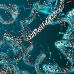 Cientistas descobrem que 'matemática pura' está escrita na genética evolutiva