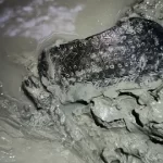 Sandália romana decorada de 2.000 anos descoberta na Espanha